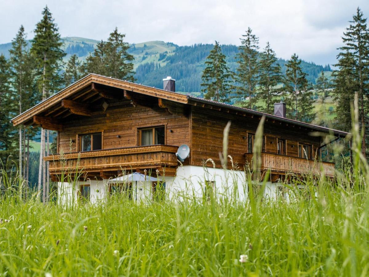 Chalet Freiblick Kleinhaid, Hollersbach Hollersbach im Pinzgau Bagian luar foto