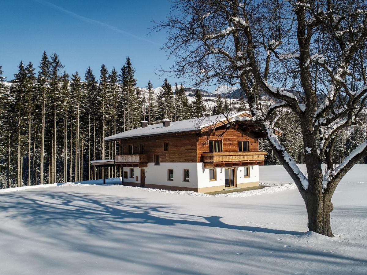 Chalet Freiblick Kleinhaid, Hollersbach Hollersbach im Pinzgau Bagian luar foto